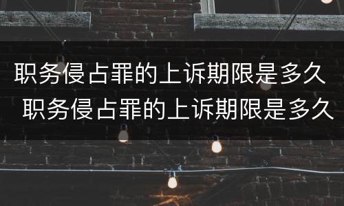职务侵占罪的上诉期限是多久 职务侵占罪的上诉期限是多久啊