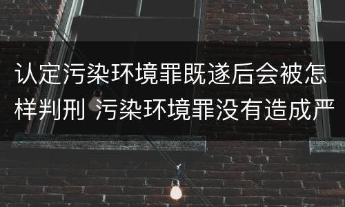认定污染环境罪既遂后会被怎样判刑 污染环境罪没有造成严重后果也要判刑吗