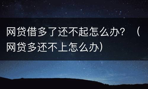网贷借多了还不起怎么办？（网贷多还不上怎么办）
