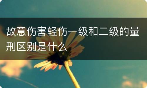 故意伤害轻伤一级和二级的量刑区别是什么