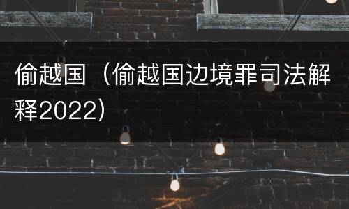 偷越国（偷越国边境罪司法解释2022）
