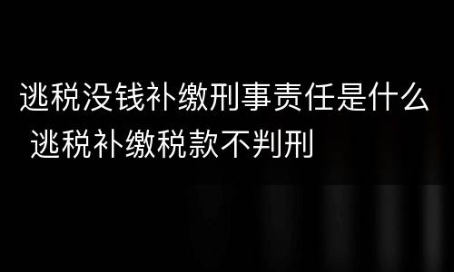 逃税没钱补缴刑事责任是什么 逃税补缴税款不判刑