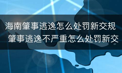 海南肇事逃逸怎么处罚新交规 肇事逃逸不严重怎么处罚新交规