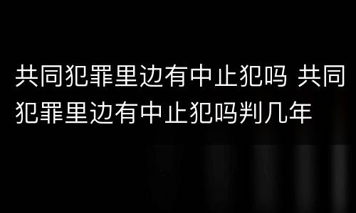 共同犯罪里边有中止犯吗 共同犯罪里边有中止犯吗判几年