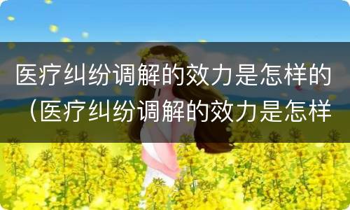 医疗纠纷调解的效力是怎样的（医疗纠纷调解的效力是怎样的呢）