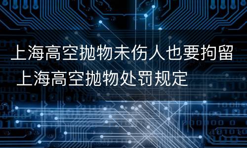 上海高空抛物未伤人也要拘留 上海高空抛物处罚规定