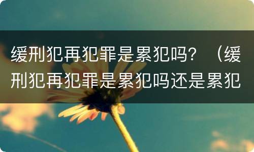 缓刑犯再犯罪是累犯吗？（缓刑犯再犯罪是累犯吗还是累犯）