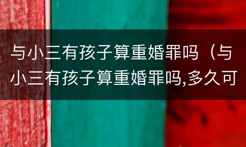 与小三有孩子算重婚罪吗（与小三有孩子算重婚罪吗,多久可追究重婚罪）