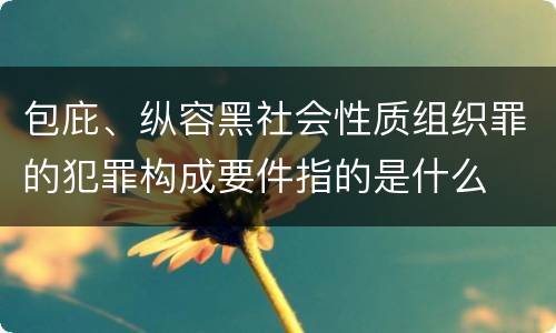 包庇、纵容黑社会性质组织罪的犯罪构成要件指的是什么
