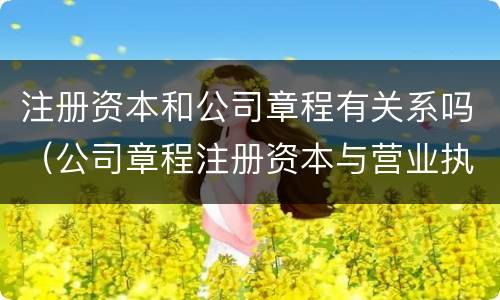 注册资本和公司章程有关系吗（公司章程注册资本与营业执照）