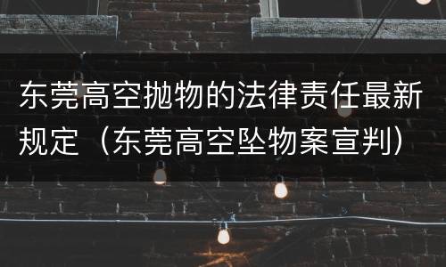 东莞高空抛物的法律责任最新规定（东莞高空坠物案宣判）