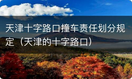 天津十字路口撞车责任划分规定（天津的十字路口）