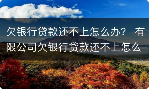 欠银行贷款还不上怎么办？ 有限公司欠银行贷款还不上怎么办