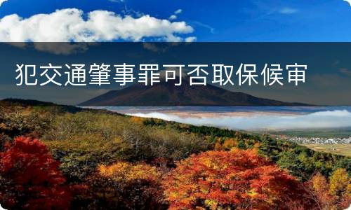 犯交通肇事罪可否取保候审