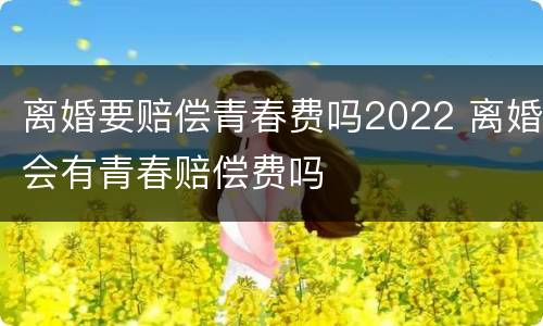 离婚要赔偿青春费吗2022 离婚会有青春赔偿费吗