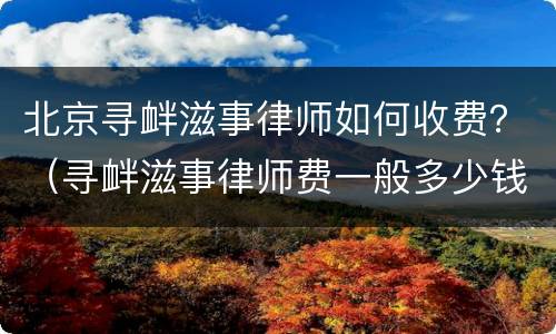 北京寻衅滋事律师如何收费？（寻衅滋事律师费一般多少钱）