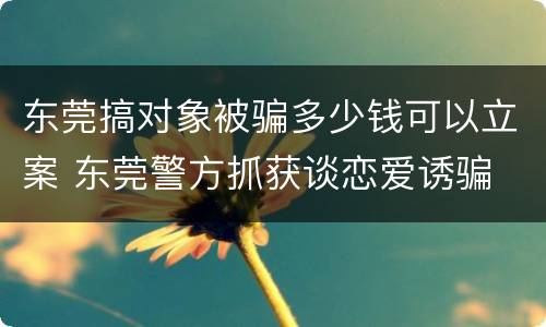 东莞搞对象被骗多少钱可以立案 东莞警方抓获谈恋爱诱骗