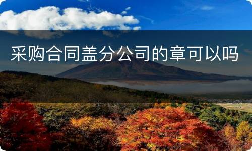 采购合同盖分公司的章可以吗
