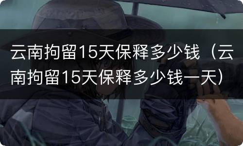 云南拘留15天保释多少钱（云南拘留15天保释多少钱一天）