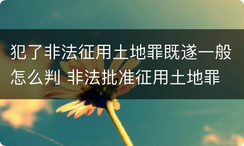 犯了非法征用土地罪既遂一般怎么判 非法批准征用土地罪