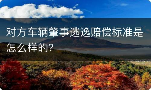 对方车辆肇事逃逸赔偿标准是怎么样的？