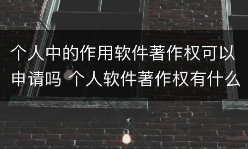 个人中的作用软件著作权可以申请吗 个人软件著作权有什么用