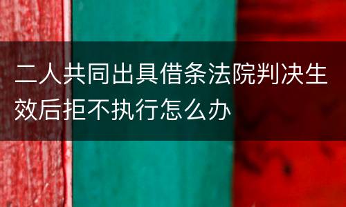 二人共同出具借条法院判决生效后拒不执行怎么办