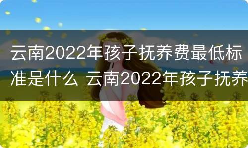 云南2022年孩子抚养费最低标准是什么 云南2022年孩子抚养费最低标准是什么呢