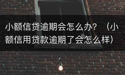 小额信贷逾期会怎么办？（小额信用贷款逾期了会怎么样）
