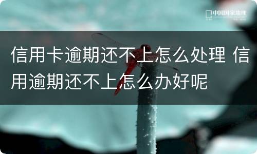 信用卡逾期还不上怎么处理 信用逾期还不上怎么办好呢