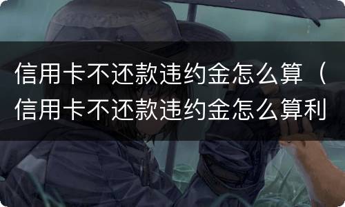 信用卡不还款违约金怎么算（信用卡不还款违约金怎么算利息）