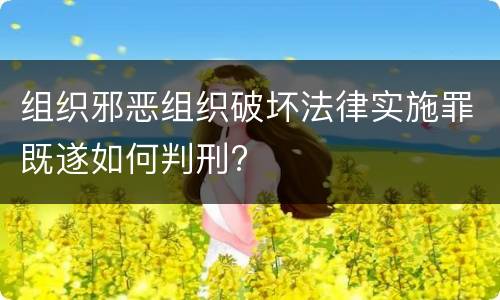 组织邪恶组织破坏法律实施罪既遂如何判刑?