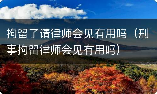 拘留了请律师会见有用吗（刑事拘留律师会见有用吗）
