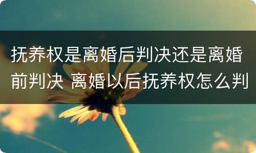 抚养权是离婚后判决还是离婚前判决 离婚以后抚养权怎么判
