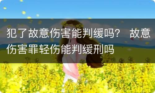 犯了故意伤害能判缓吗？ 故意伤害罪轻伤能判缓刑吗