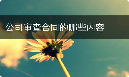 公司审查合同的哪些内容