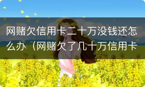 网赌欠信用卡二十万没钱还怎么办（网赌欠了几十万信用卡）