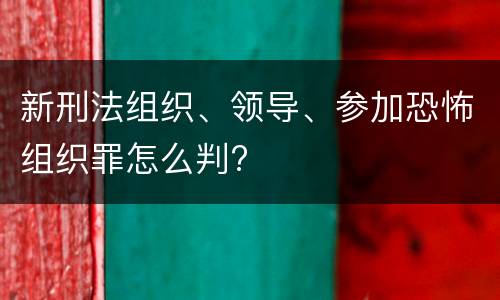 新刑法组织、领导、参加恐怖组织罪怎么判?