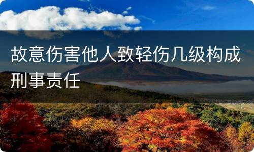 故意伤害他人致轻伤几级构成刑事责任
