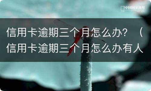 信用卡逾期三个月怎么办？（信用卡逾期三个月怎么办有人打电话让我还）
