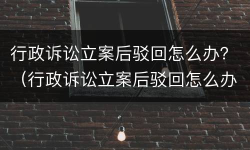 行政诉讼立案后驳回怎么办？（行政诉讼立案后驳回怎么办理）
