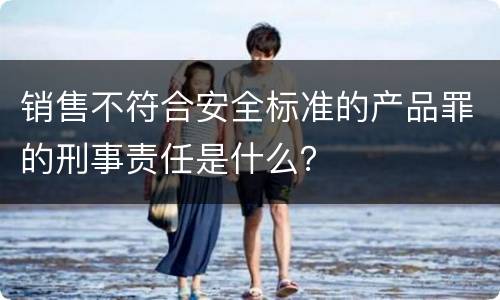 销售不符合安全标准的产品罪的刑事责任是什么？