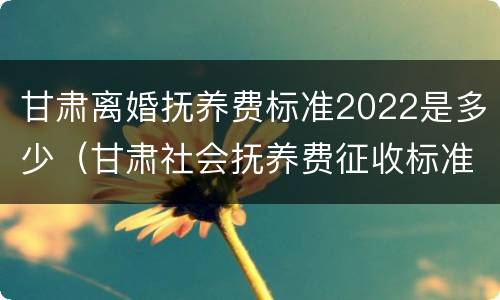 甘肃离婚抚养费标准2022是多少（甘肃社会抚养费征收标准2021）