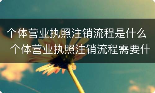 个体营业执照注销流程是什么 个体营业执照注销流程需要什么