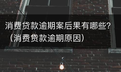 消费贷款逾期案后果有哪些？（消费贷款逾期原因）