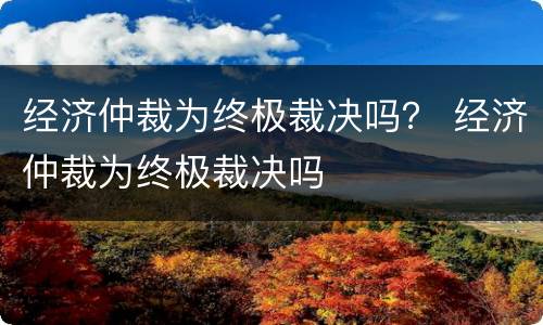经济仲裁为终极裁决吗？ 经济仲裁为终极裁决吗