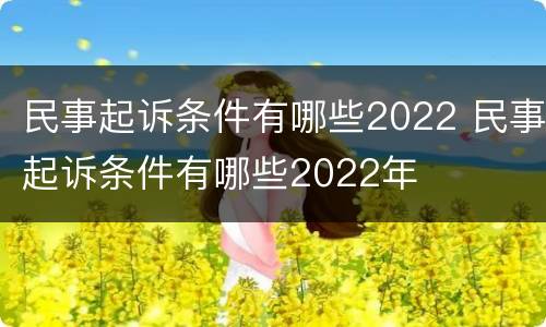 民事起诉条件有哪些2022 民事起诉条件有哪些2022年