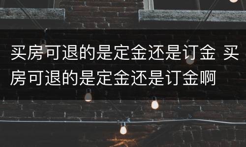 买房可退的是定金还是订金 买房可退的是定金还是订金啊