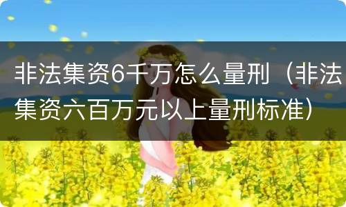 非法集资6千万怎么量刑（非法集资六百万元以上量刑标准）