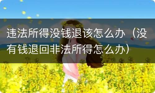 违法所得没钱退该怎么办（没有钱退回非法所得怎么办）